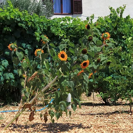 With Parking Space - 9209 * تروغير