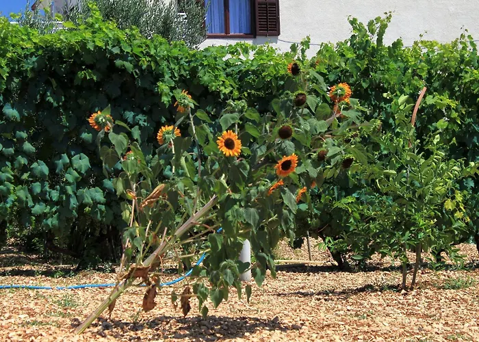 With Parking Space - 9209 * Trogir